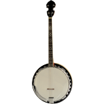 photo of a banjo