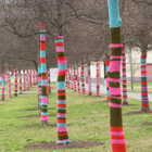 thumbnail of yarn bombed trees photo