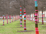 photo of yarn bombed trees