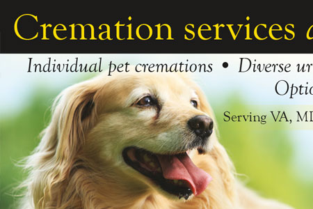 Thumbnail of Sunset Pet Services sample